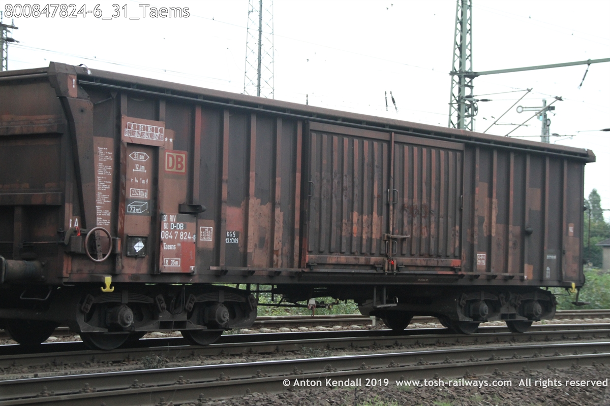 800847824-6_31_Taems.JPG
